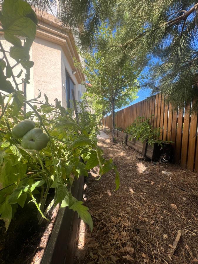 Lana'S Guest House Hurfeish Exterior foto